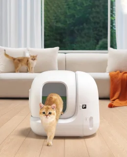Automatische Zelfreinigende Kattenbak