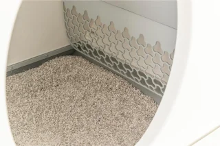 Automatische zelfreinigende kattenbak met sensor voor binnengebruik