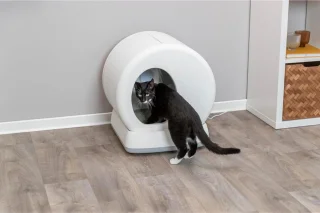 Automatische zelfreinigende kattenbak met sensor voor binnengebruik