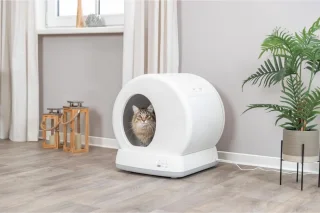 Automatische zelfreinigende kattenbak met sensor voor binnengebruik