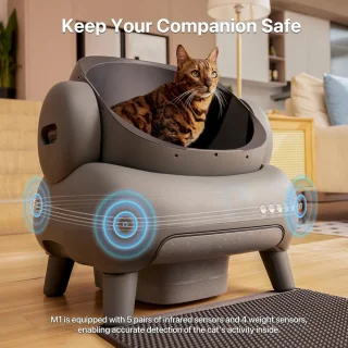 Automatische Zelfreinigende Kattenbak Met Sensor Voor Kleine En Grote Katten