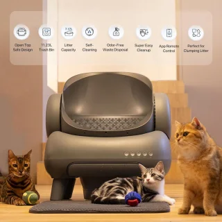 Automatische Zelfreinigende Kattenbak Met Sensor Voor Kleine En Grote Katten