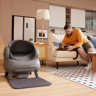 Automatische Zelfreinigende Kattenbak Met Sensor Voor Kleine En Grote Katten