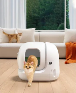 Automatische zelfreinigende kattenbak voor binnengebruik