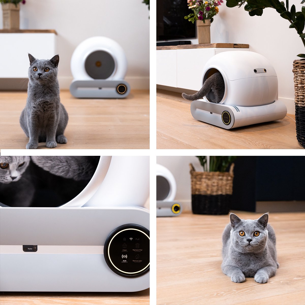 Wat vinden we goed aan de Cellavi Kattenbak Zelfreinigend XXL 65L Met App en Touchscreen