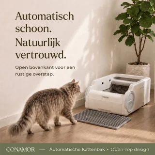 Conclusie