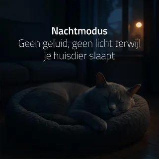Hombli - Kattenbak