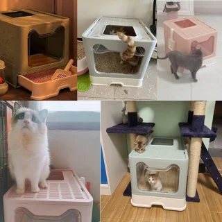 Inovra Ruime Opvouwbare Kattenbak met Lade