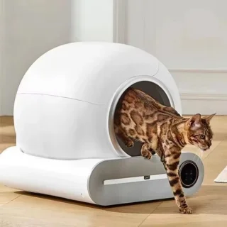 Wat vinden we goed aan de JOYNEXTBUY automatische kattenbak wit
