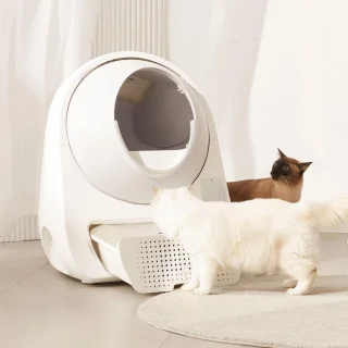 Kattenbak