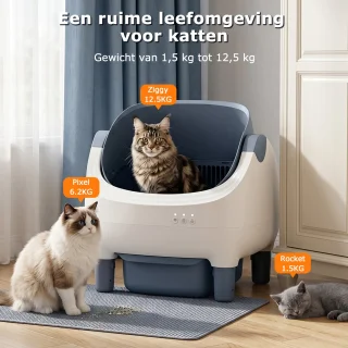Advies voor kopers
