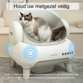 Conclusie