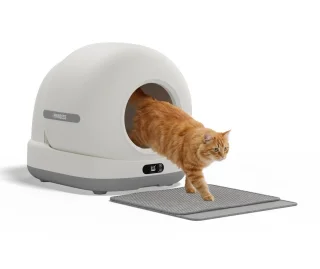 Wat vinden we goed aan de Princess automatische kattenbak