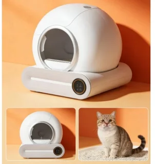 De Questyr automatisch kattentoilet in één oogopslag