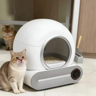 Wat vinden we goed aan de Questyr automatisch kattentoilet