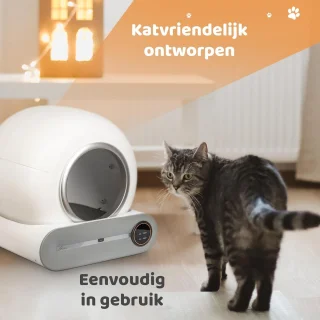 Conclusie