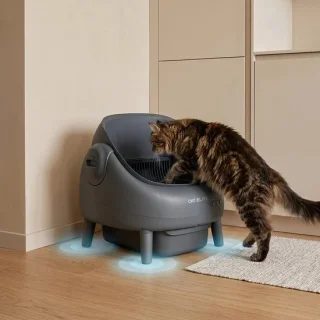 Slimme zelfreinigende kattenbak antraciet review
