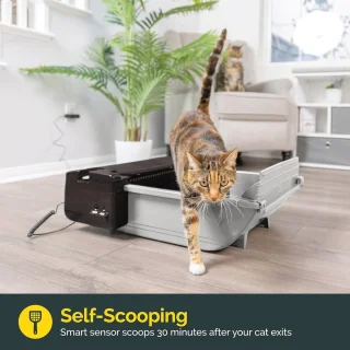 Slimme zelfreinigende kattenbak voor 2 katten
