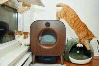 Tien Lagen Zelfreinigende Kattenbak met WIFI - Slimme Automatische Kattenbak voor Meerdere Katten