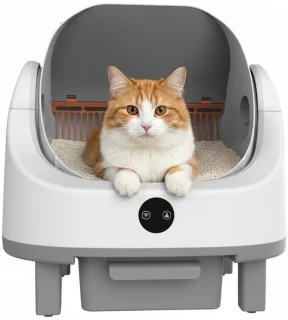 De Virtubuy - Kattenbak in één oogopslag