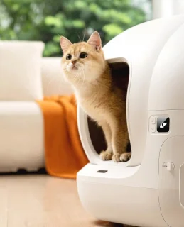 Zelfreinigende Kattenbak Slim met App Bediening