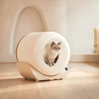 Zelfreinigende XXL Kattenbak
