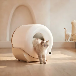 Zelfreinigende XXL Kattenbak