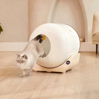 Zelfreinigende XXL Kattenbak