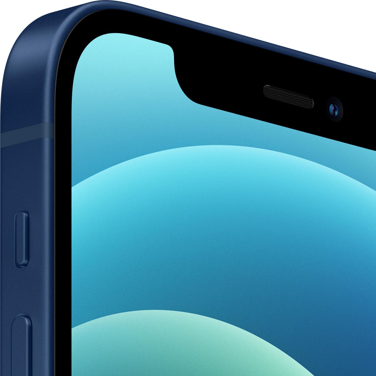 Apple iPhone 12 64GB Blauw