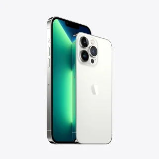 Apple iPhone 13 Pro Max 1TB Zilver