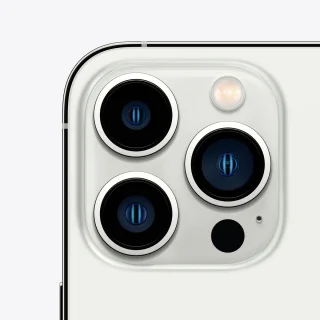Apple iPhone 13 Pro Max 1TB Zilver