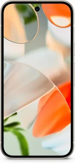 Google Pixel 9 128GB Wit