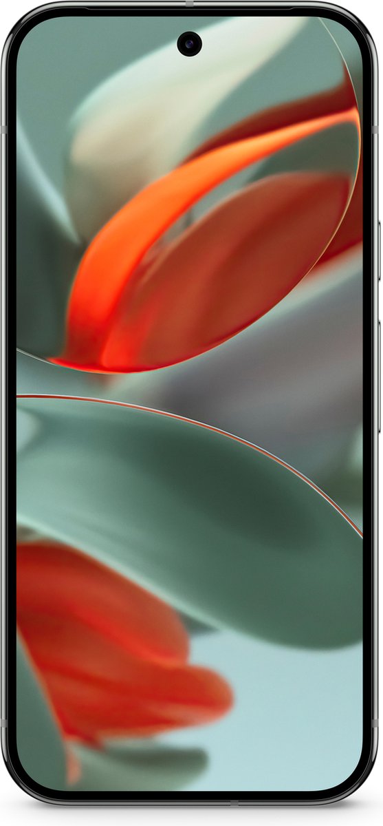 Wat vinden we goed aan de Google Pixel 9 Pro 256GB Groen