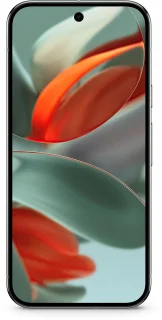 Google Pixel 9 Pro XL 512GB Groen