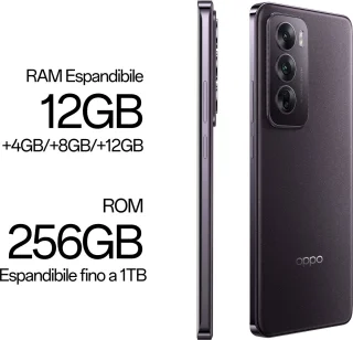 Oppo Reno 12 5G Dual Sim 12GB 256GB Black Brown