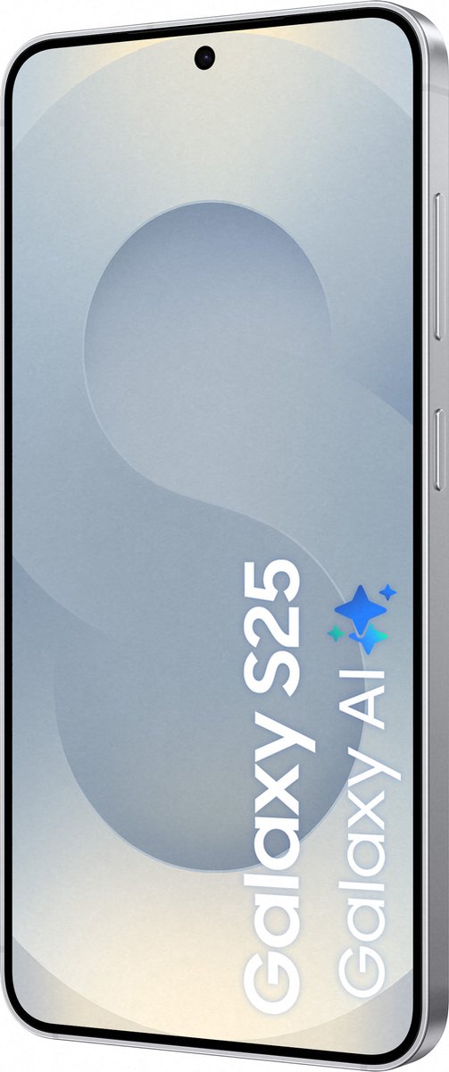 Samsung Galaxy S25 5G 128GB Silver Shadow