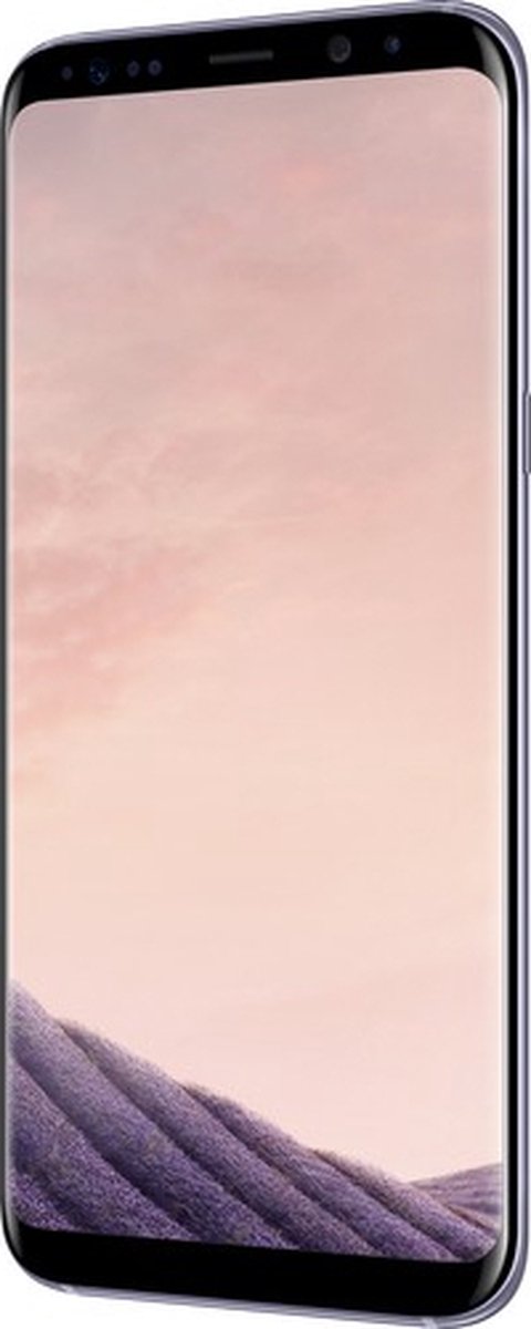 Samsung Galaxy S8 Plus Grijs