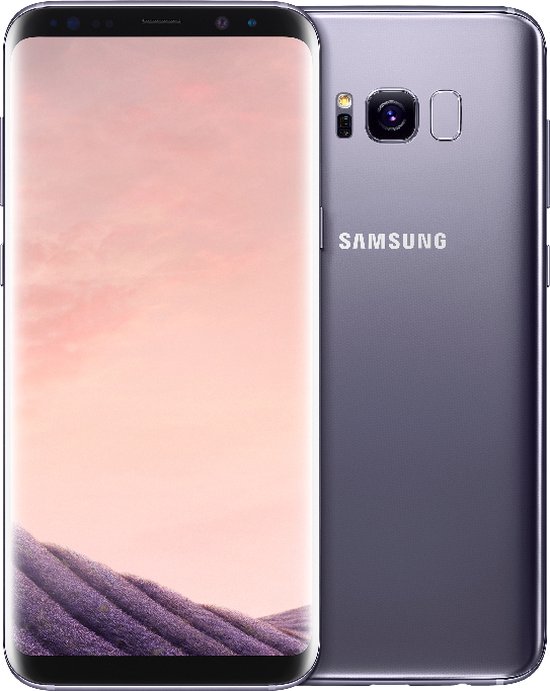 Samsung Galaxy S8 Plus Grijs
