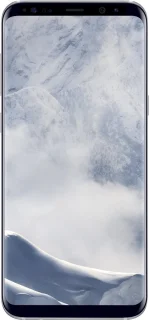 Samsung Galaxy S8 Zilver Smartphone