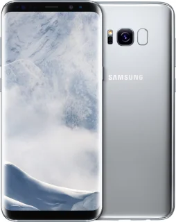 Samsung Galaxy S8 Zilver Smartphone