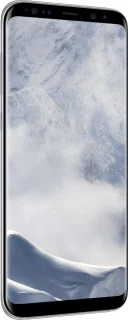 Samsung Galaxy S8 Zilver Smartphone