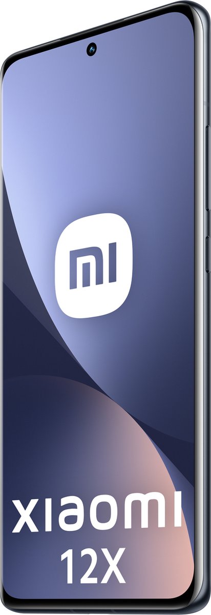 Xiaomi 12X 256GB Grijs