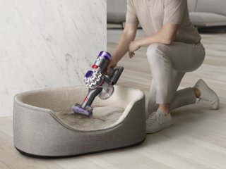 Dyson V8 Advanced Steelstofzuiger Zilver