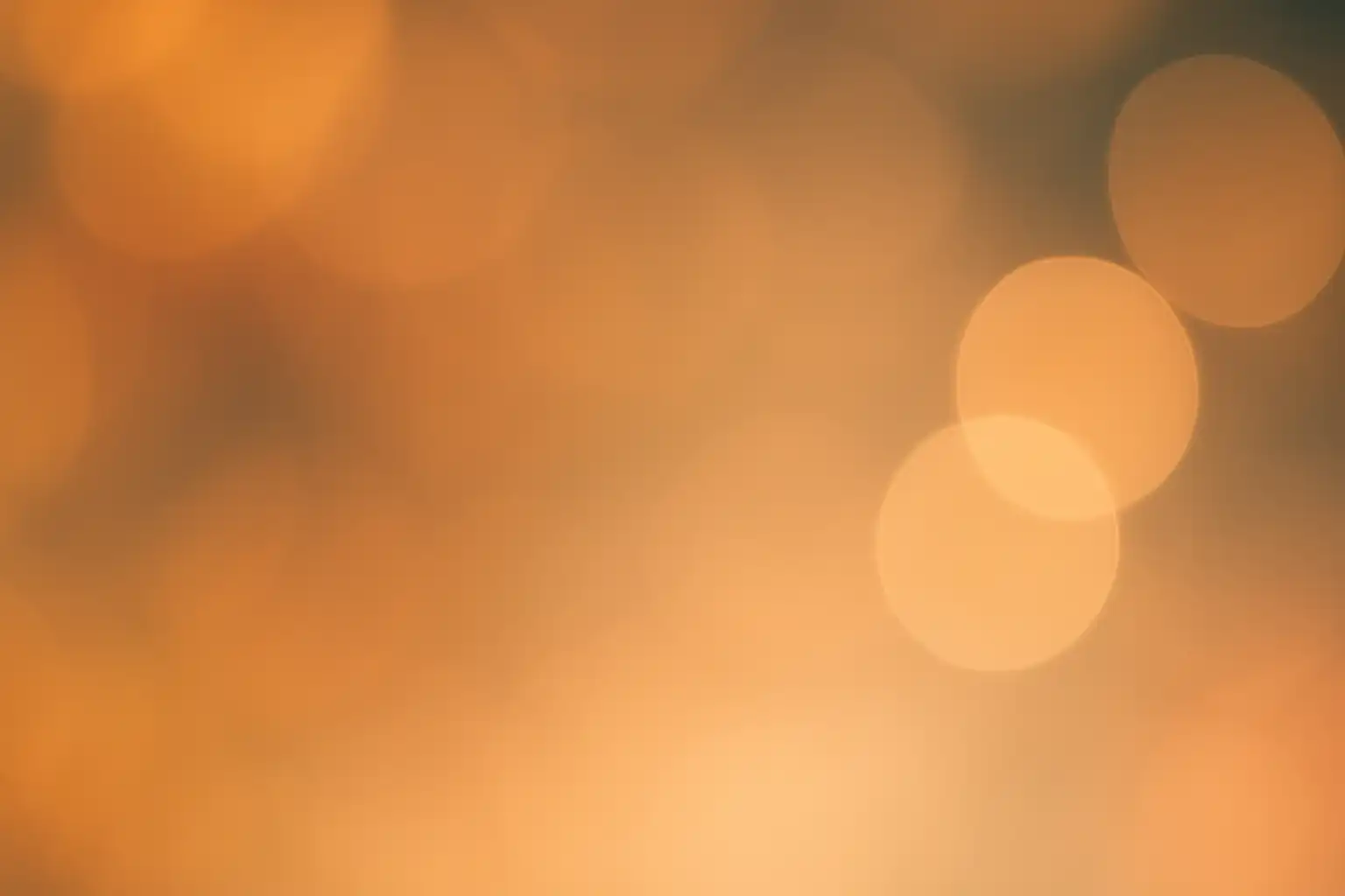 Zo creëer je romige bokeh: lenzen, instellingen en compositietrucs voor zachte achtergronden