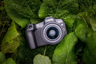 Canon EOS R8 + RF 24-50mm lens