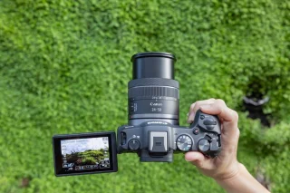 Canon EOS R8 + RF 24-50mm lens
