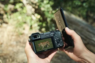 Sony A6600 camera + E 18-135mm lens