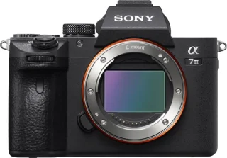 Sony A7 III + 24-105mm f/4 Zwart