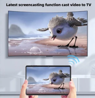 COLORROOM C3 Pro 10.1" Tablet