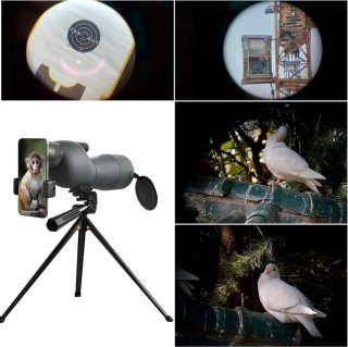 Wat vinden we minder goed